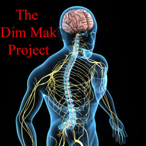 Dim Mak Project Video