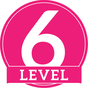 Level Six Instructor Certification