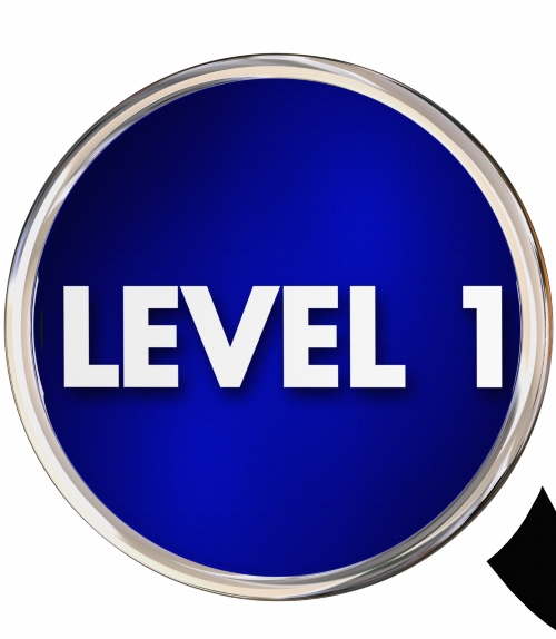 Level One Instructor Certification