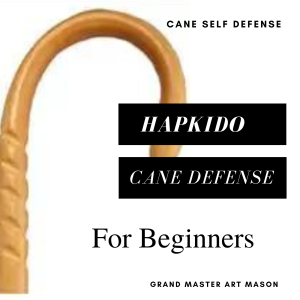 Hapkido Cane Defense System